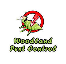 If you're coming to the. Top Pest Control In Philippines List Of Pest Control Services Philippines