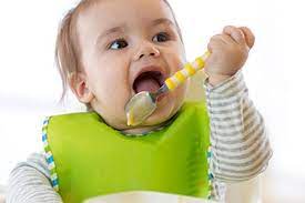 Want to make your own baby food? Best Baby Food Brands 2021 Which
