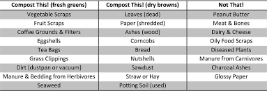 Compost Tips For Beginners My Garden Life