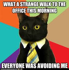 We did not find results for: I Can Has Cheezburger Friday The 13th Funny Animals Online Cheezburger