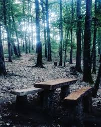 Foret De Yakouren Tizi Ouzou Algerie Nature Culture Bio Permaculture Sentiers