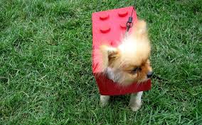 6 Funny Dog Halloween Costumes You Can Make With Little Or No Sewing Dog Halloween Costumes Dog Halloween Costumes Funny Dog Halloween
