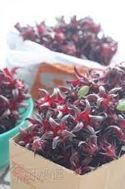 厨苑食谱 洛神花果酱 homemade roselle jam roselle jam homemade takeout container