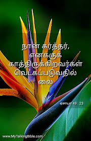 Bird Of Paradise Flower Meaning In Tamil Amen In 2020 Nike Logo