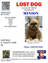 Anyone can help more pets get back home by signing up for pet fbi special agent alerts and sharing through their personal pages and groups. Lostdog Minion Aurora E Colorado Lost Found Pets Facebook