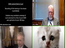 Texas 'cat lawyer' commits hilarious zoom fail by keeping kitten filter on last updated: I M Not A Cat Texas Lawyer Trapped By Cat Filter Informs Judge On Zoom Call