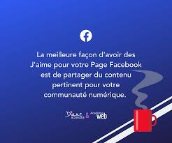 Pourquoi je n'ai pas d'amis ? 10 Astuces Pour Ajouter Des J Aime A Votre Page Facebook Diane Bourque Stratege Numerique