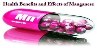 Manganese is an important mineral during pregnancy, as it helps in the formation of foetal bones and cartilages. Health Benefits And Effects Of Manganese Assignment Point