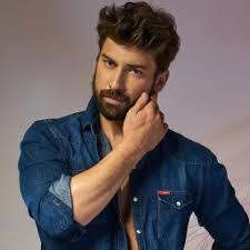 Image result for alp navruz