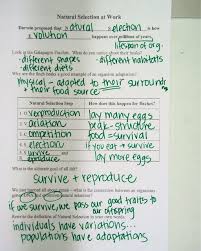 Webquest evolution and natural selection answer key. Glencoe Natural Selection Virtual Lab Worksheet Distance Learning Natural Selection Virtual Lab