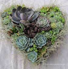 Linda Estrin Design Gardens Succulent Floral Succulents Design Succulents Vertical Succulent Gardens