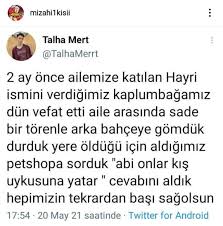 Neşeli Enginar ve Tumblr