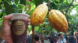 Hasil gambar untuk wisata kampung coklat blitar
