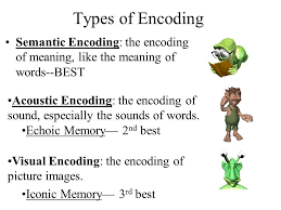 Image Result For Semantic Encoding Image Pictures Images Meant To Be