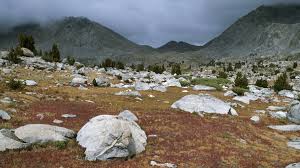Tundra Facts And Information