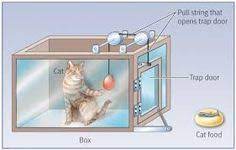 Check spelling or type a new query. 9 Thorndike Ideas Thorndike Edward Thorndike Operant Conditioning