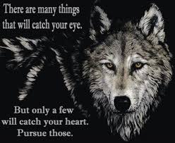 Indian Quotes on Pinterest | Native American Quotes, Native Quotes ... via Relatably.com