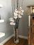 Tall Glass Vase Decor
