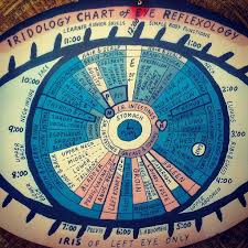 Pin by Laurel Sobol ~Organic Lifestyl on Reflexology | Iridology chart,  Iridology, Reflexology chart