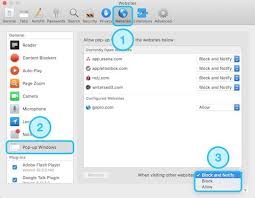 Is there a way that no porn is ever accessible on my computer. How To Turn Off Safari S Pop Up Blocker And Allow Pop Ups On Macos Ios Or Ipados Appletoolbox