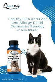 Healthy Skin Coat And Allergy Relief Dermatitis Remedy For Cats 450 Pills In 2021 Cat Health Dermatitis Cat Skin Problems