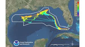 Gulf Of Mexico 2018 Expedition Science Technology News