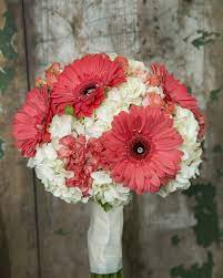 Coral Gerbera Carnations And Spray Roses With A Background Of White Hydrangea Make Up This Stunning Bride Gerbera Daisy Wedding Wedding Bouquets Daisy Wedding