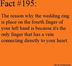 27 Interesting Short Facts That Will Make You A Little Bit Smarter Funny Facts Fun Facts Psychology Facts