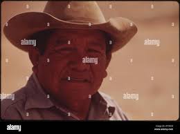 Ted james hi-res stock photography and images