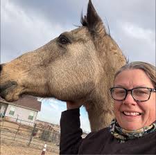 Looking for baseball and football card appraisals and pricing