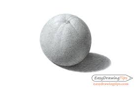 Free 3d fruit models available for download. How To Draw A Realistic Orange Step By Step Easydrawingtips