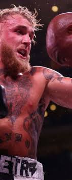 Jake Paul Can't Beat Boxers of His Own Age": Michael Jai White Claims in  Resurfaced Anderson Silva Conversation