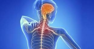 Este material puede ser reproducido total o parcialmente para fines de diseminación y capacitación. La Esclerosis Multiple Una Enfermedad Que Hasta La Fecha Se Desconoce Sus Causas Exactas Notiexpos Y Congresos