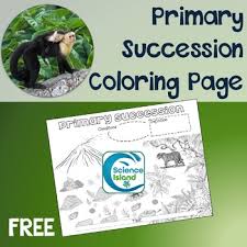 Monkeys are energetic and mischievous creatures, and their nature appeals to children. Primary Succession Coloring Page By Science Island Tpt