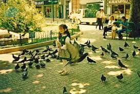 Pendik 1996 Kus Yemi Ve Kus