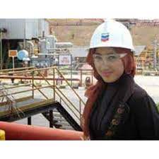 Lowongan kerja di pt permodalan nasional madani (persero) garut. Chevron Karir