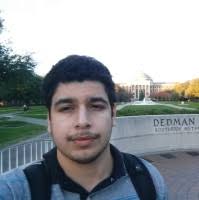 50+ "Daemi" profiles