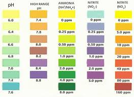 On the other hand, individuals with very high levels of. Ph Ammonia Fish Care