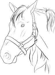 Kleurplaten om na te tekenen paardenhoofd eenhoorn. Pin Van Clemen Diaz Op Zentangles Doodles And Ideas Paardenschets Paard Tekeningen Paardenhoofd