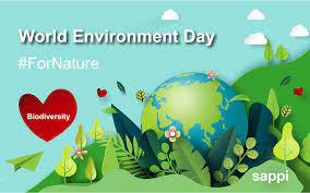 World environment day celebration concept. Sappi Acts Fornature And Celebrates World Environment Day 2020 Sappi Global