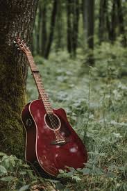 Red Cutaway Acoustic Guitar Leaning On Tree Photo Free Guitar Image On Unsplash Please contact us if you want to publish an acoustic guitar wallpaper. red cutaway acoustic guitar leaning on