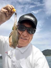 アオリイカのエギング釣行／周防大島（山口県周防大島町） | 釣りぽ TSURIPO