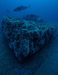 office of national marine sanctuaries
