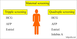 Maternal Screening Part 1 Maternal Triple Or Quadruple Screening For Genetic Abnormality Labpedia Net