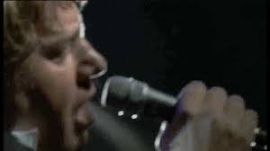 Muziek CV van Peter Stegeman