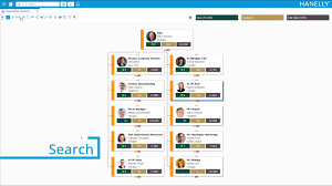 Nakisa Hanelly Org Chart Demo