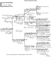 Dads Four Generation Pedigree Chart November 15 2002