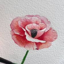 Mohnblume Aquarell In 2020 Watercolor Flowers Paintings Watercolor Paintings Tutorials Watercolor Paintings Easy
