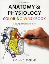 Marieb and others in this series. Anatomy And Physiology Coloring Workbook By Marieb Elaine N