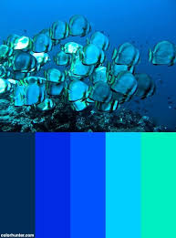 Pin By Andreia Dea On Home Sweet House Scuba Diving Color Palette Palette